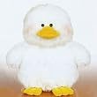 Ganz Webkinz Duck