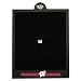 Wisconsin Badgers Officially Licensed Dartboard Backboard