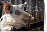 5th Birthday Party Invitation - Cute Pig Card