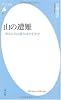 山の遭難―あなたの山登りは大丈夫か (平凡社新書)