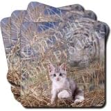 SILVER KITTEN+WHITE TIGER SPIRIT Set of 4 Coasters