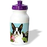 Dogs Boston Terrier - Emma Boston Terrier - Water Bottles