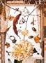 Alabama Art: Thirteen Alabama Artists
