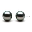 HinsonGayle Handpicked AAA 10.0-11.0mm Peacock Black Tahitian Cultured Pearl Stud Earrings (14K White Gold)