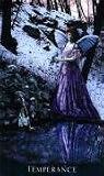 The Bohemian Gothic Tarot. 78 Tarotkarten m.dt. Anleitung