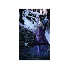 The Bohemian Gothic Tarot. 78 Tarotkarten m.dt. Anleitung