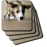 VWPics Nano Calvo Photography Dog - 1 months old puppy jumps high - Coasters