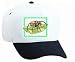 White Cap with bug, hunting, spider, eating, insect, prey