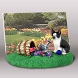 Boston Terrier - Picture Frame with Teddy Bear