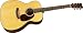 Martin M-21 Steve Earle 0000 Acoustic Guitar Natural