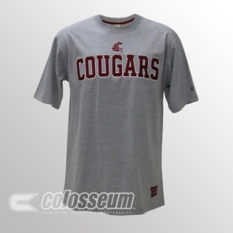 Buy Washington State Licensed Embroidered Logo T-Shirt by Colosseum Athletics