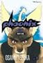 Phoenix, Vol. 10