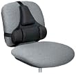 PRO SERIES BACK SUPPORT