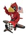Louisville Cardinals NCAA Basketball Smasher