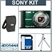 Sony Cyber-shot DSC-W370 Digital Camera Kit, - Green - with 4GB SD Memory Card, Camera Case, Table Top Tripod