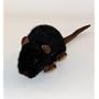 Plush Soft Toy Black Rat. 22cm. by Dowman Imports Ltd.