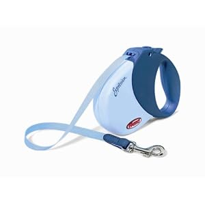 Flexi-Expression-16-Feet-Retractable-Leash-for-Dogs-Up-to-44-Pound-Blue