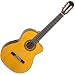 EG522C Nylon String Acoustic Electric Guitar