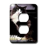 Cats - Tuxedo Cat - Light Switch Covers - 2 plug outlet cover