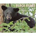 Black Bears 2009 Wall Calendar