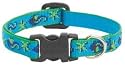 Lupine Small Dog Collar - Sea Ponies 8-12"