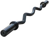 Evinco Black Olympic EZ Curl Bar + Spring Collars