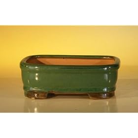 Bonsai Boy's Ceramic Bonsai Pot - Rectangle6.125" x 5.0" x 2.125"