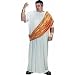 Adults' Plus Size Caesar Costume