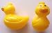 Duck Indoor Outdoor Party String Lights