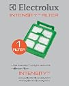 Electrolux #EL016 Intensity Hepa Filter
