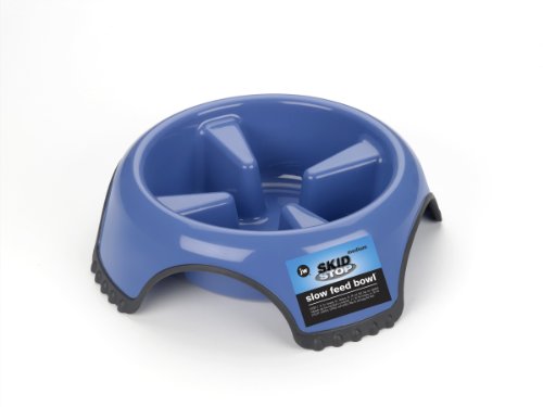 Skid Stop Slow Feed Bowl - Medium (Color May 