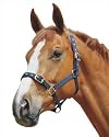 Roma Soft Back Headcollar-Green - Full
