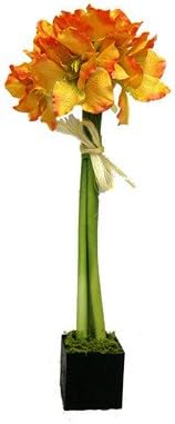 Amaryllis Lily Topiary Planter Color: Orange