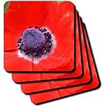 red poppy - Set Of 4 Ceramic Tile Coasters