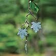 Maple Leaf Wind Chime