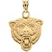 14k Yellow Gold Chicago Bears Pendant 16.5x16.5mm