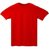 (アークテリクス)ARC'TERYX Distressed Bird SS Tshirt Men's 【並行輸入品】 9517