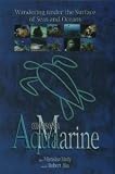 Aqua Marine- Colours of Sea