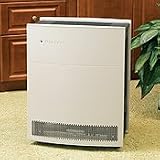 Blueair 650E Digital Air Purifier with GO Smokestop Filters