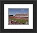 Framed Byrd Stadium Maryland Terrapins Photograph