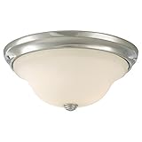 Murray Feiss Mf Fm251 Morningside 2 Light Wrought Iron Flush Mount