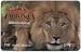 Collectible Phone Card: $10. Edge of Africa - Lion: Busch Gardens (Tampa Bay, Florida)