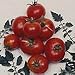 Creole Tomato 20 Seeds