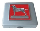 Red Labrador Retriever Vitamin Mirror Case