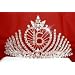 "Finally Sweet 16" Tiara