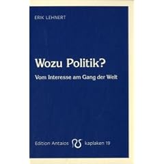 Wozu Politik?: Vom Interesse am Gang der Welt