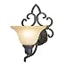 8223 - Iron Works Wall Sconce