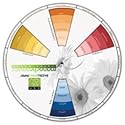 Bazzill 9 Inch Monochromatic Color Wheel