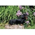 Dachshund Floral Scene Floor Mat