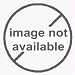 Intercomp Part 150120 0-2 Volt Analog Output for Intercomp TL6000